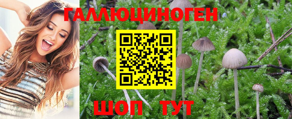 Ливны  Галлюциногенные грибы MAGIC MUSHROOMS  что такое наркотик  Вход с VPN 